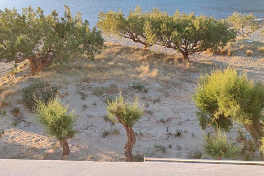 Aegean Dream House Villa Kamares  Exteriör bild